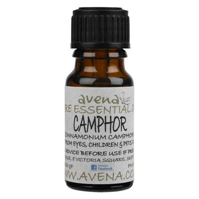 Camphor Essential Oil (Cinnamomum camphora)